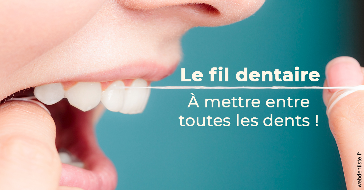 https://selarl-leclercq-patrice.chirurgiens-dentistes.fr/Le fil dentaire 2