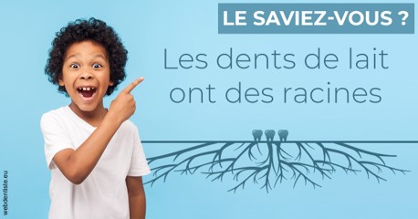 https://selarl-leclercq-patrice.chirurgiens-dentistes.fr/Les dents de lait 2