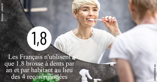 https://selarl-leclercq-patrice.chirurgiens-dentistes.fr/Français brosses 2
