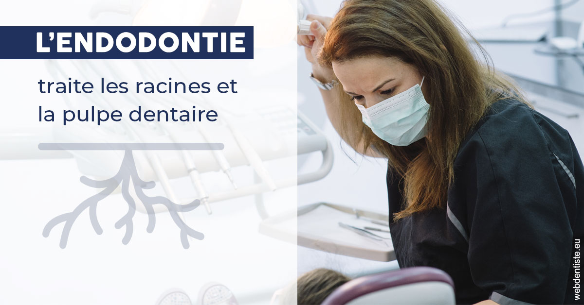 https://selarl-leclercq-patrice.chirurgiens-dentistes.fr/L'endodontie 1