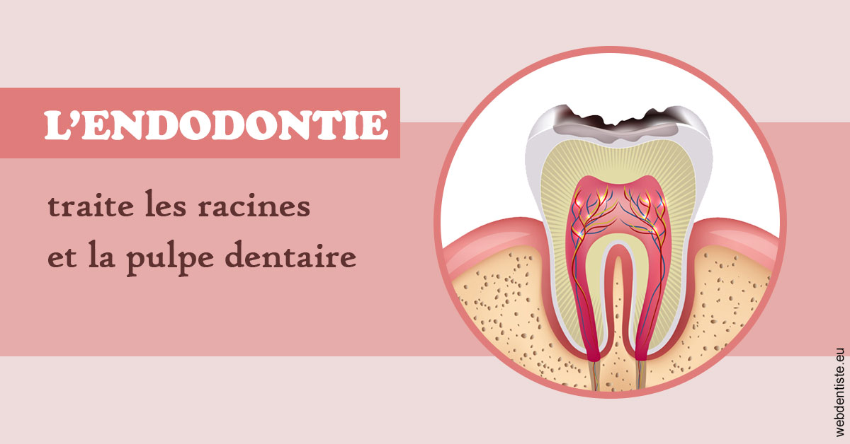 https://selarl-leclercq-patrice.chirurgiens-dentistes.fr/L'endodontie 2