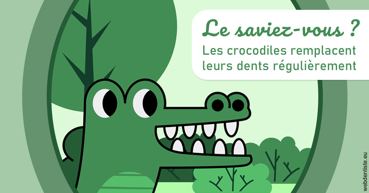 https://selarl-leclercq-patrice.chirurgiens-dentistes.fr/Crocodiles 2