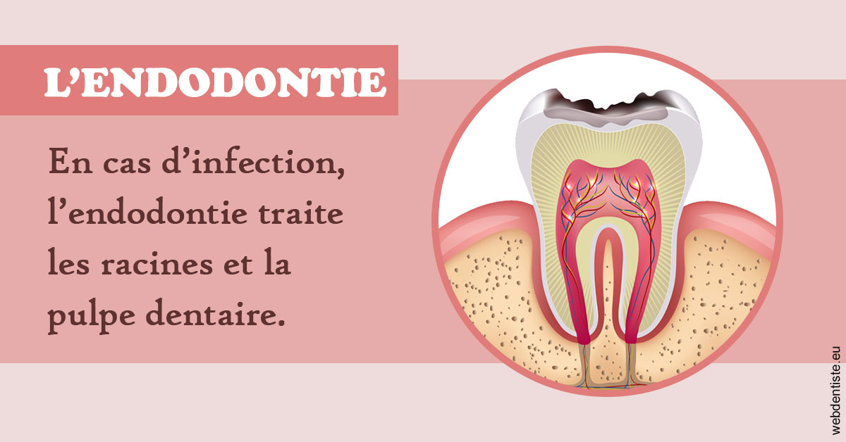 https://selarl-leclercq-patrice.chirurgiens-dentistes.fr/L'endodontie 2